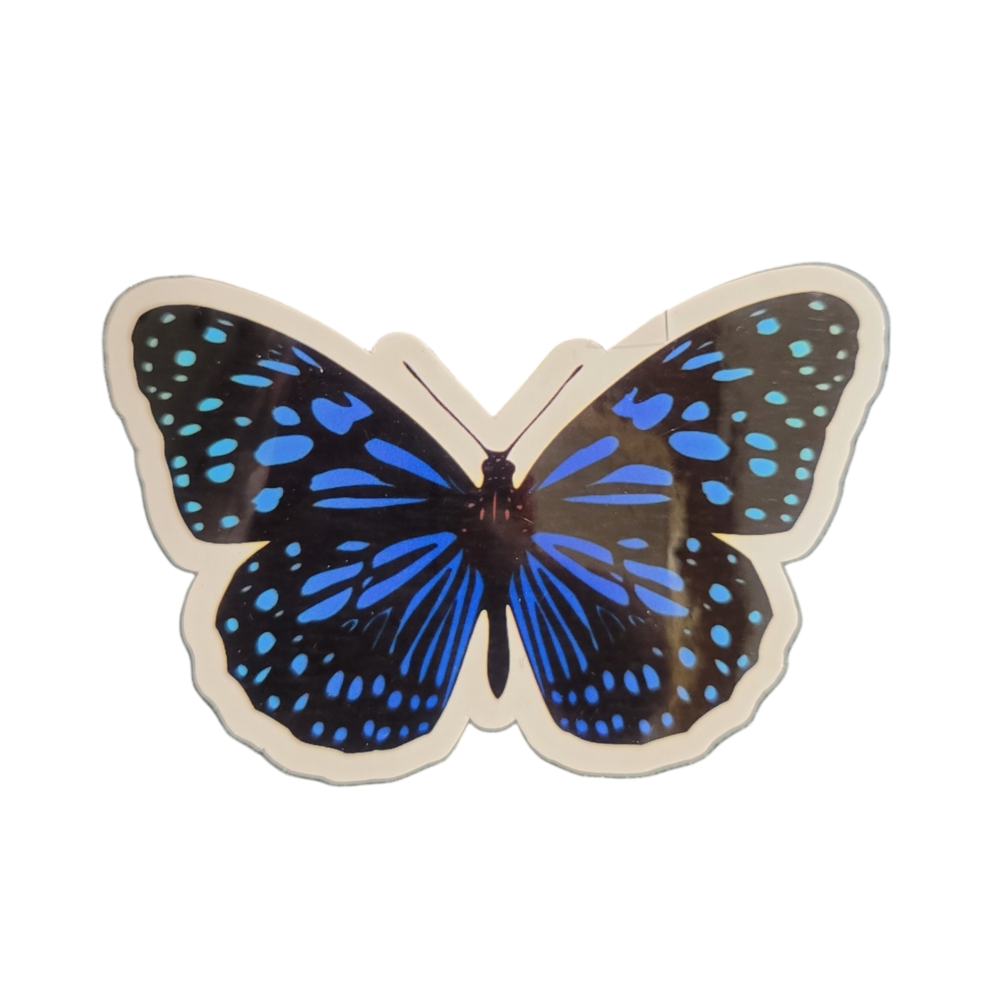 Butterfly Sticker